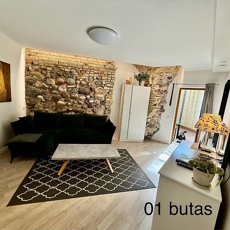 Six Apartment Simona Vilnius Eksteriør billede